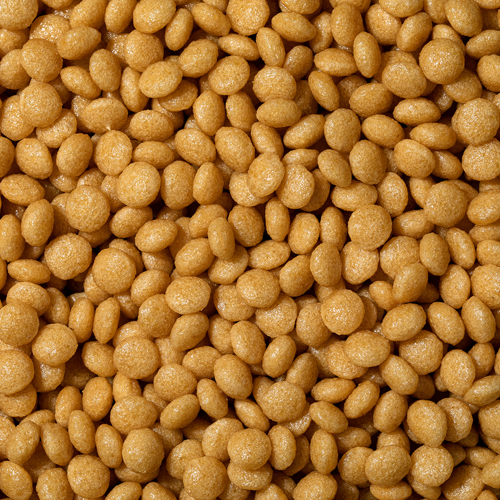 다이어트 그래잇빌리 2.1kg