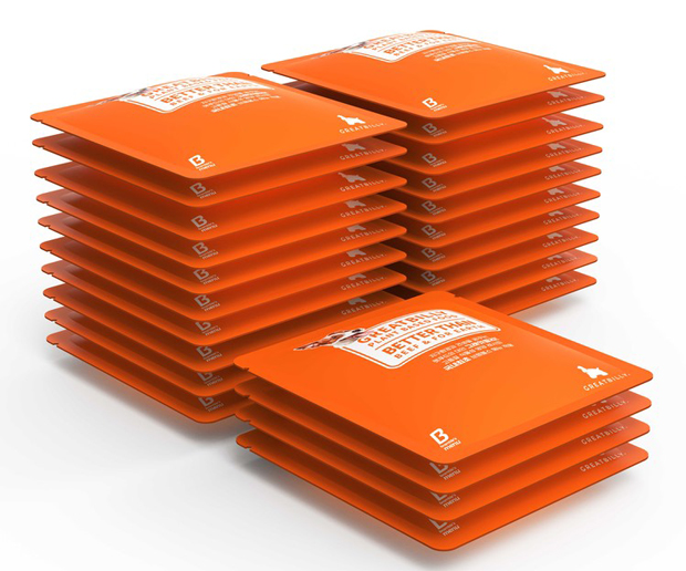 그래잇빌리 티에리 에디션 에코 패키지